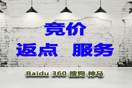 充值高返点案例研究：如何实现最大化收益